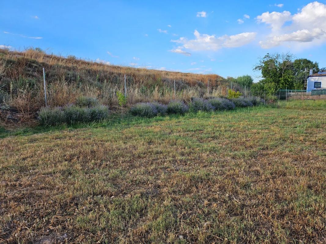 Terreno en venta en Colmenar de Oreja, Madrid photo 3