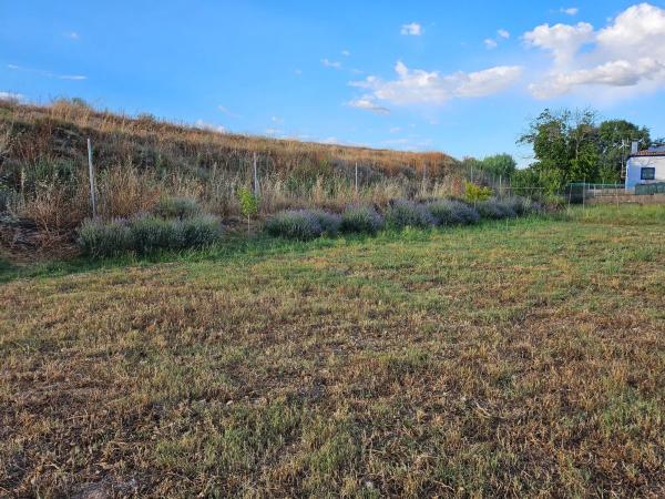 Terreno en m-320 s/n photo 3