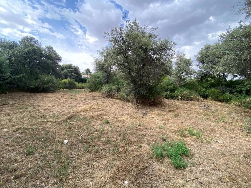 Terreno en venta en Eurovillas, Madrid photo 1