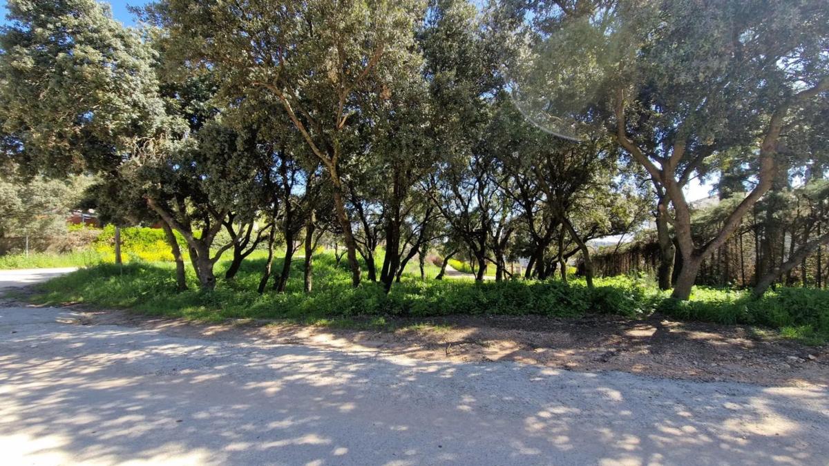 Terreno en venta en Eurovillas, Madrid photo 3