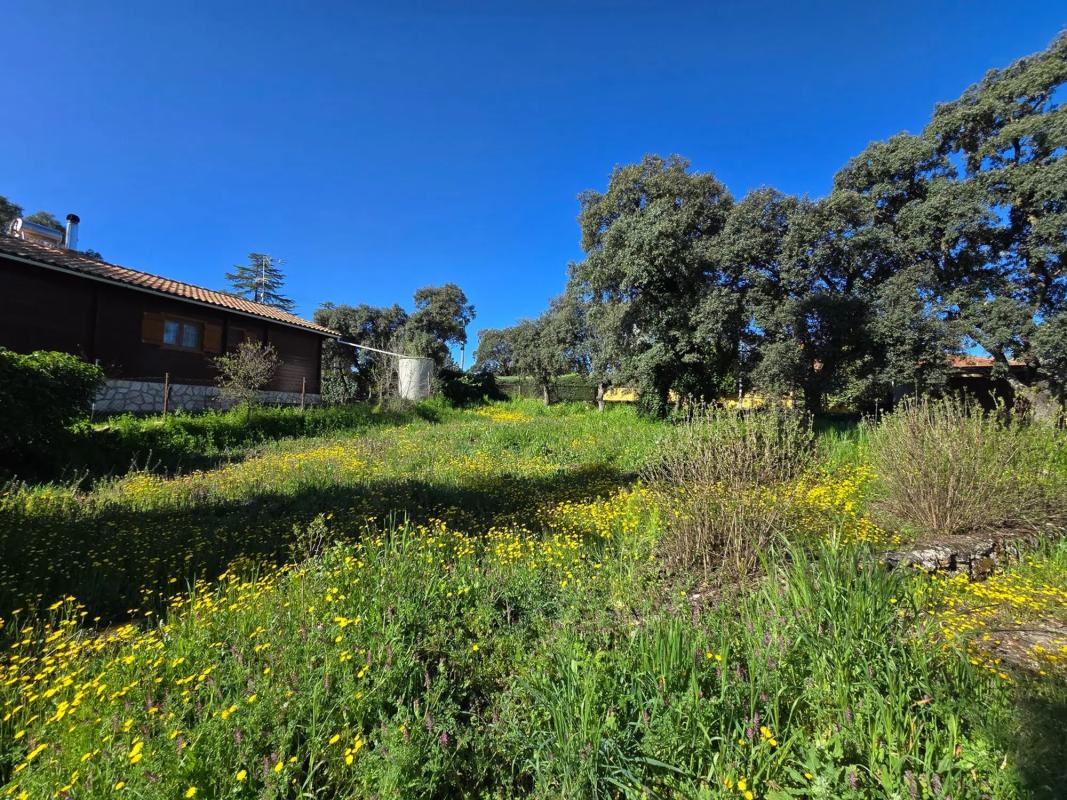 Terreno en venta en Eurovillas, Madrid photo 1