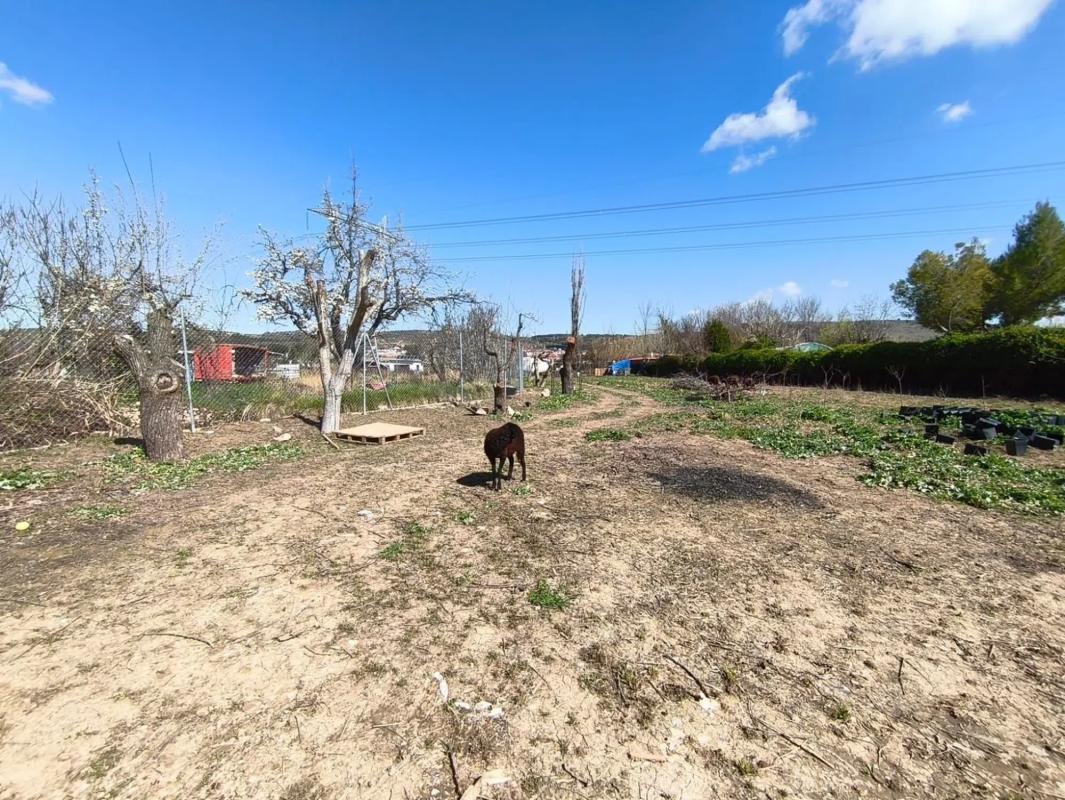 Terreno en venta en Morata de Tajuña, Madrid photo 1