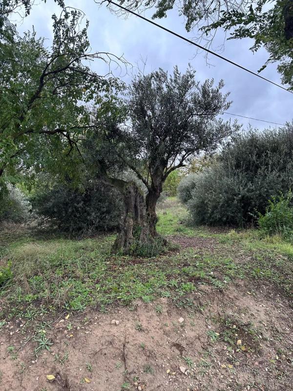 Terreno en venta en Morata de Tajuña, Madrid photo 1