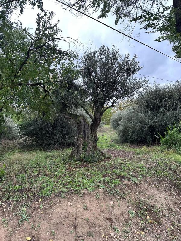 Terreno en venta en Morata de Tajuña, Madrid photo 2