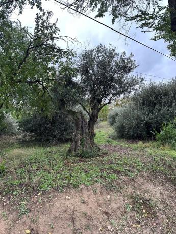 Terreno en carretera a perales, 301 photo 2