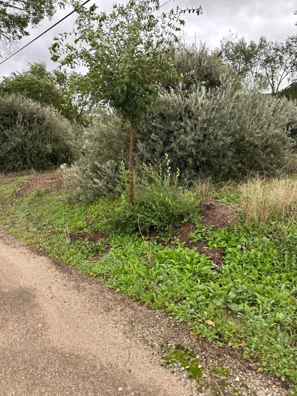 Terreno en venta en Morata de Tajuña, Madrid photo 4