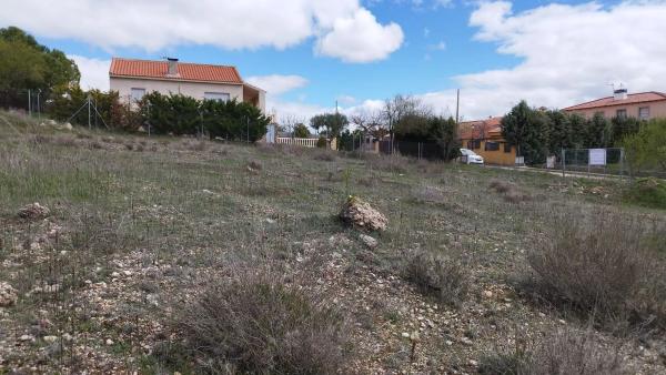 Terreno en Urbanizacion Alarilla, 109 photo 1