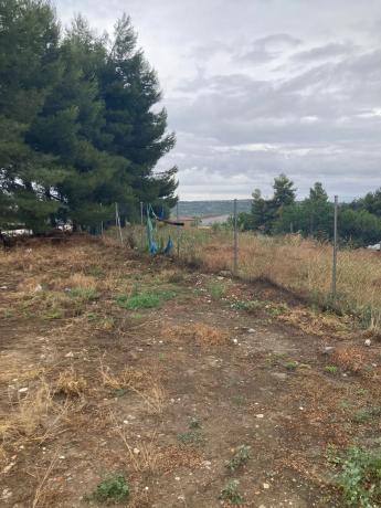 Terreno en calle Triana, 13 photo 2