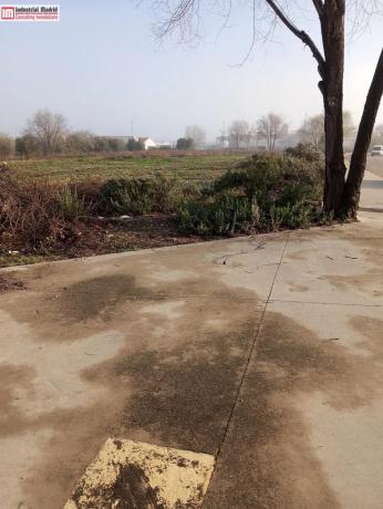 Terreno en Zona Industrial photo 4
