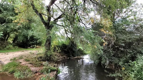 Terreno en Olmeda de las Fuentes photo 3