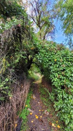 Terreno en Olmeda de las Fuentes photo 4