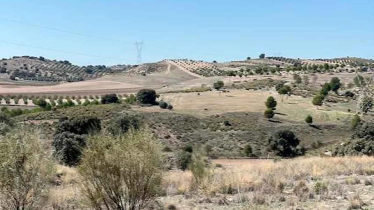 Terreno en venta en Villarejo de Salvanés, Madrid photo 3