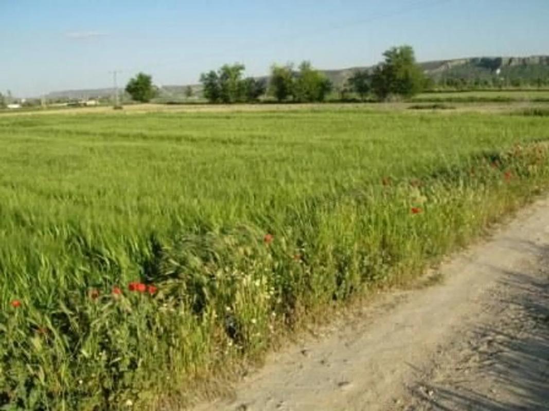 Terreno en venta en Aranjuez, Madrid photo 2