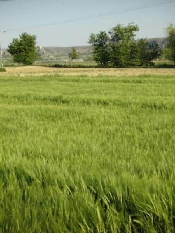 Terreno en venta en Aranjuez, Madrid photo 4