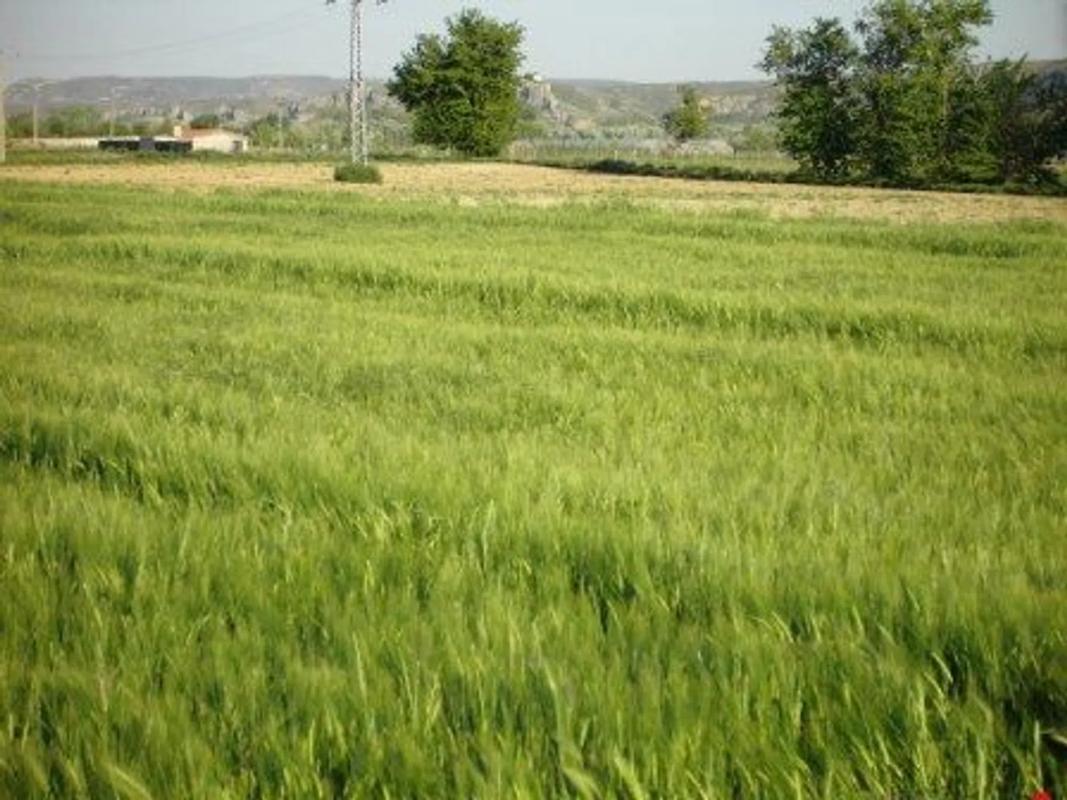 Terreno en venta en Aranjuez, Madrid photo 5