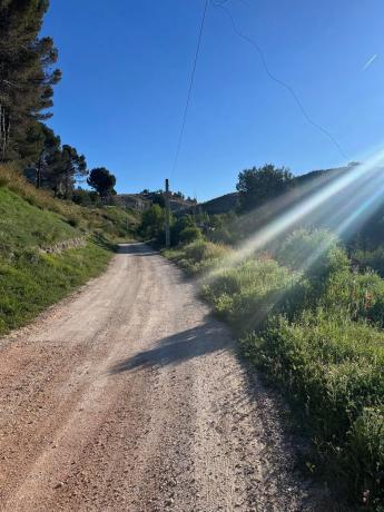 Terreno en calle de las Margaritas, 6 photo 4