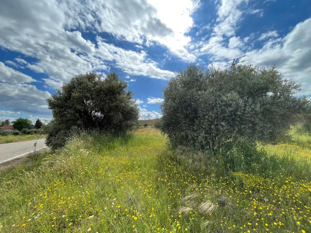 Terreno en venta en Morata de Tajuña, Madrid photo 4