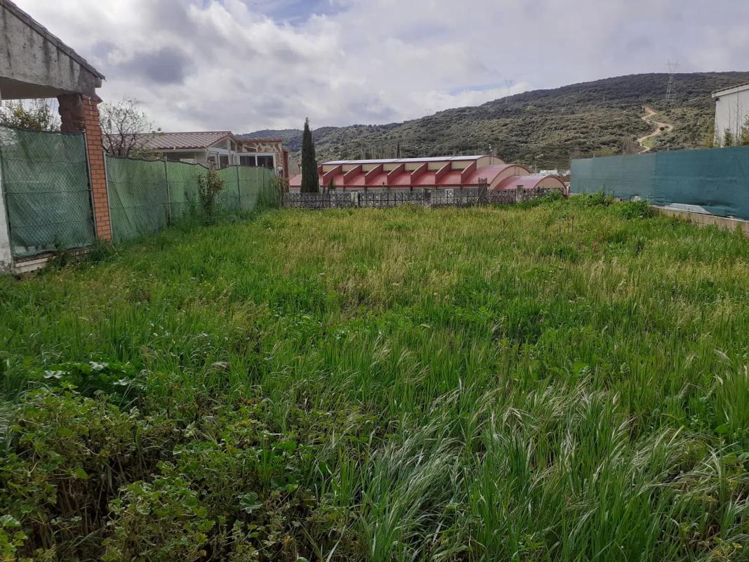 Terreno en venta en Perales de Tajuña, Madrid photo 3