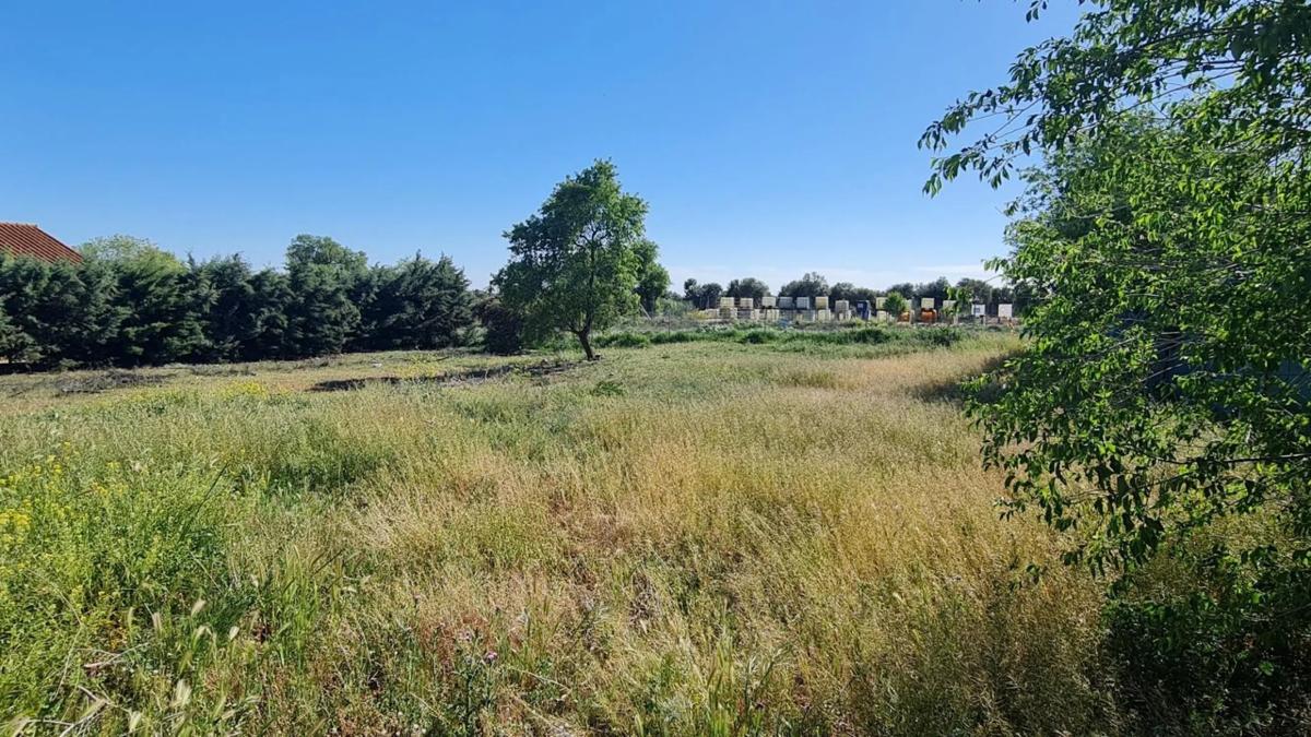 Terreno en venta en Eurovillas, Madrid photo 2