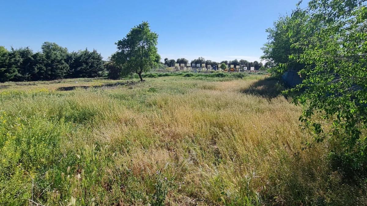 Terreno en venta en Eurovillas, Madrid photo 4