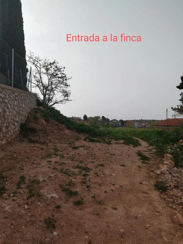 Terreno en venta en Belmonte de Tajo, Madrid photo 4