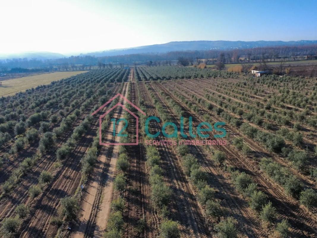 Terreno en venta en Aranjuez, Madrid photo 4