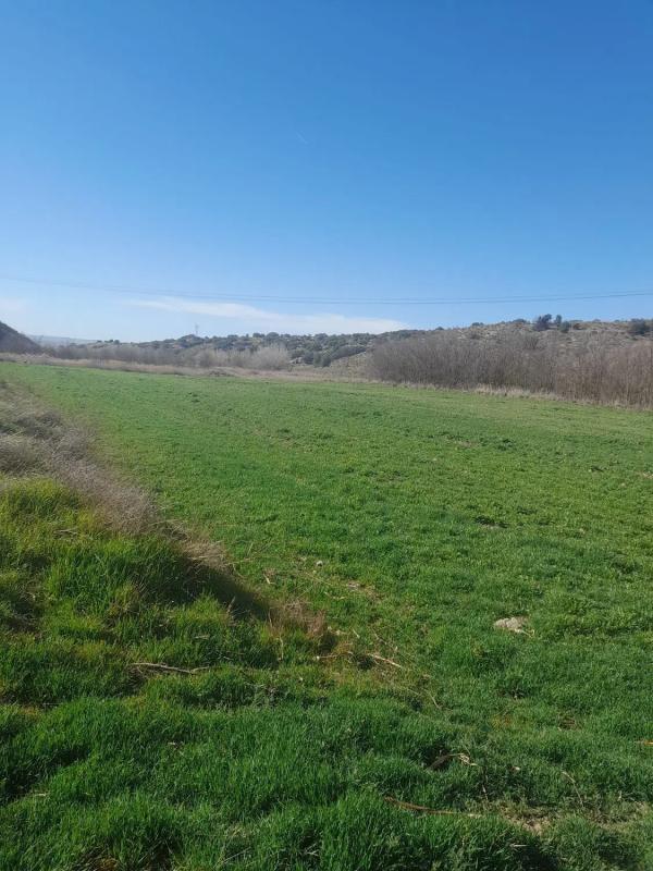 Terreno en venta en Villarejo de Salvanés, Madrid photo 2