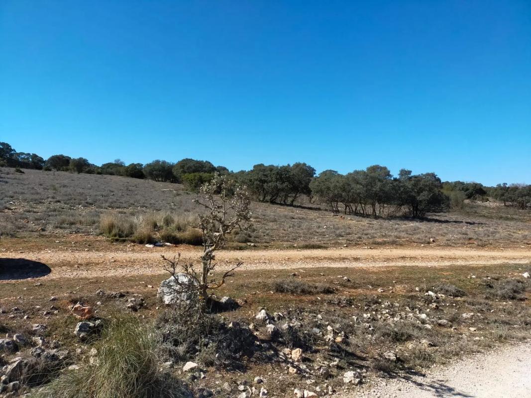 Terreno en venta en Carabaña, Madrid photo 2
