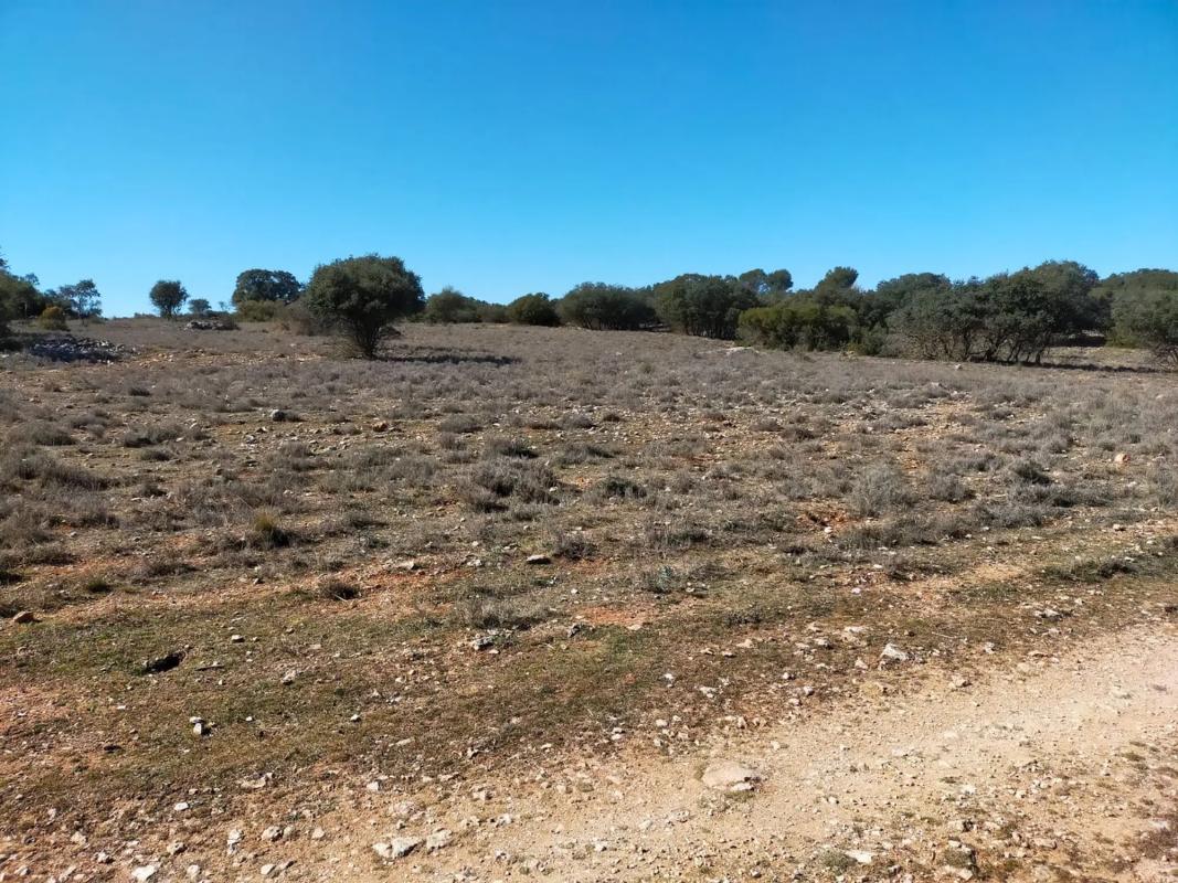 Terreno en venta en Carabaña, Madrid photo 4