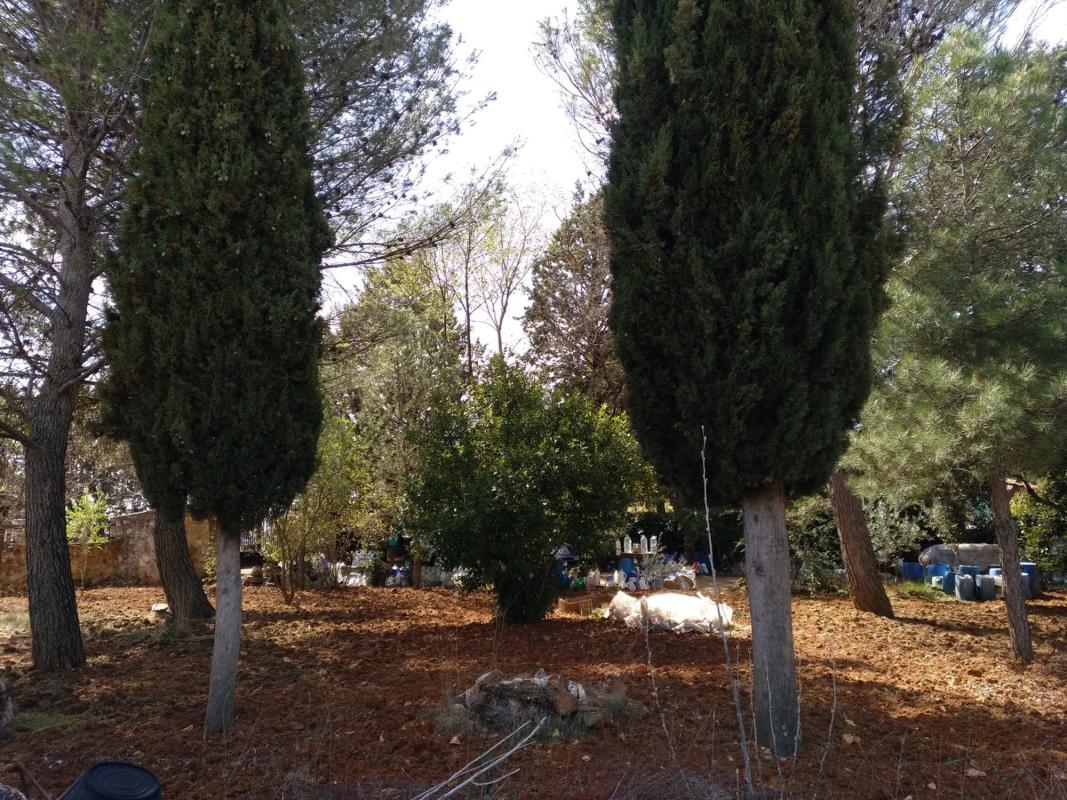 Terreno en venta en Nuevo Baztan, Madrid photo 3