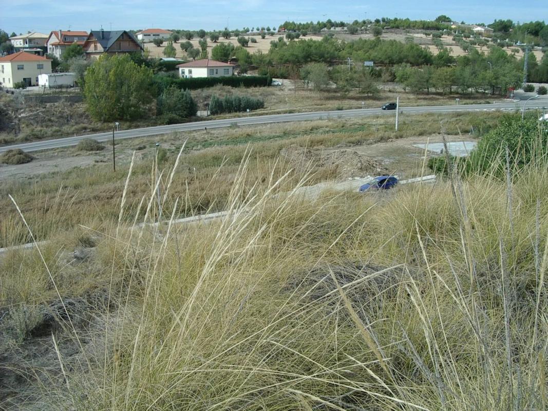 Terreno en venta en Colmenar de Oreja, Madrid photo 4