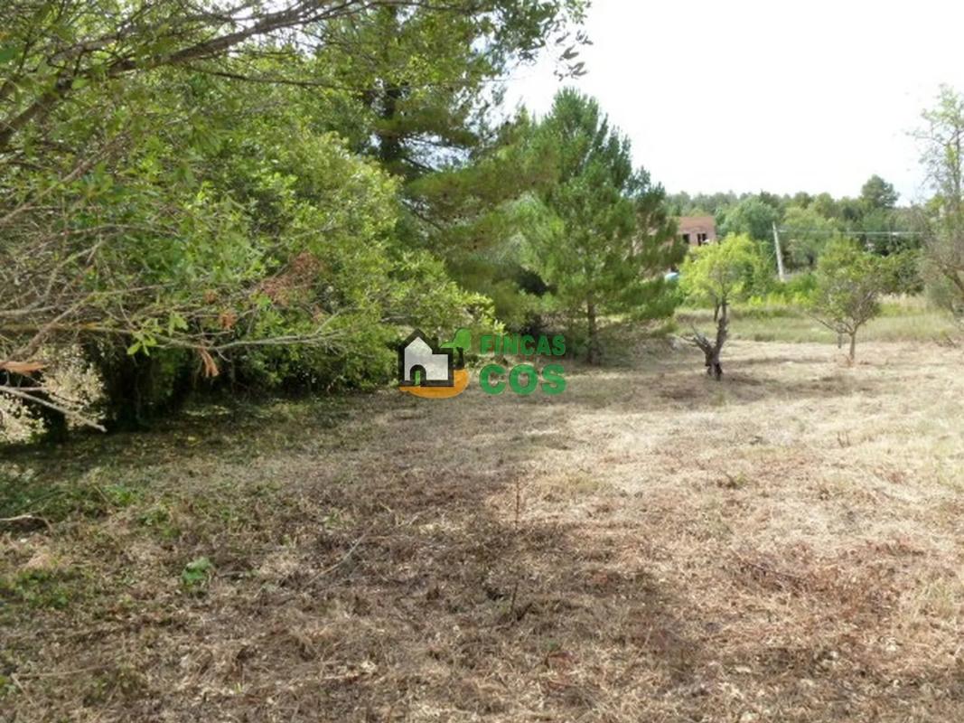 Terreno en venta en Pontons, Barcelona photo 4