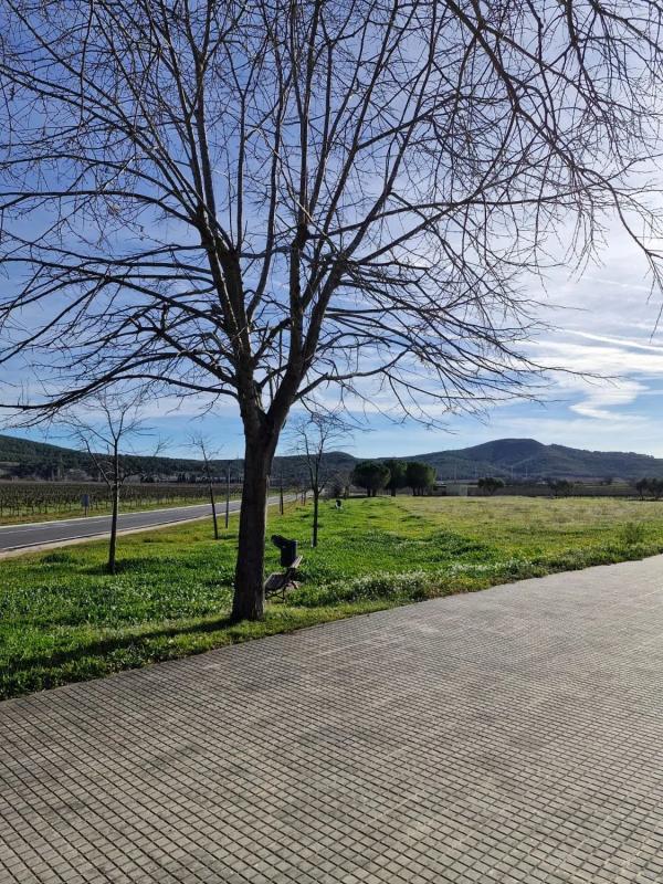 Terreno en venta en Olèrdola, Barcelona photo 2