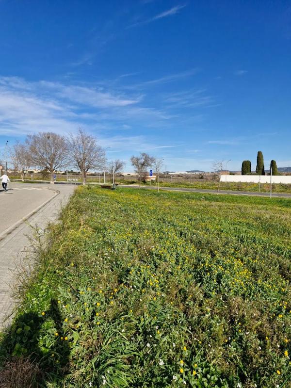 Terreno en venta en Olèrdola, Barcelona photo 4