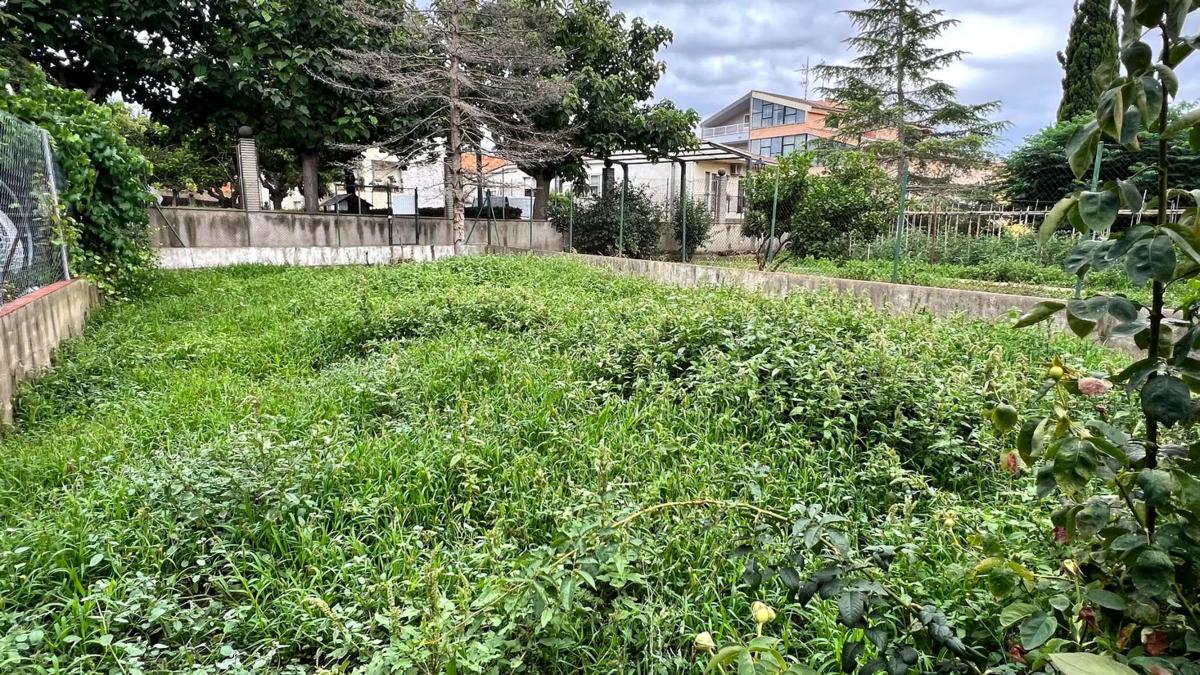 Land for sale in Saint Quincy de Mediona, Barcelona photo 4