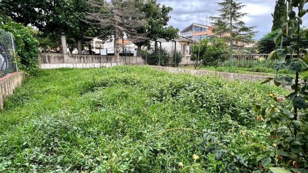 Terreno en Sant Quintí de Mediona photo 4
