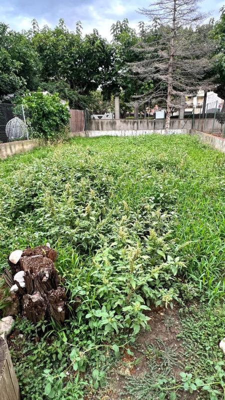 Land for sale in Saint Quincy de Mediona, Barcelona photo 5