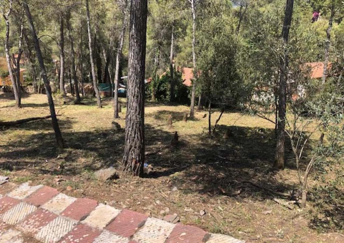Terreno en venta en Gelida, Barcelona photo 1