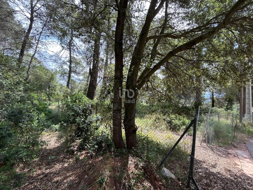Land for sale in Mediona, Barcelona photo 2