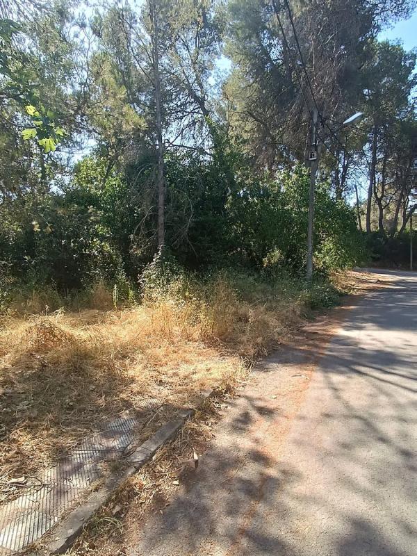 Terreno en venta en Gelida, Barcelona photo 4