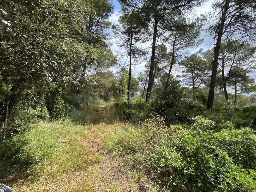 Land for sale in Mediona, Barcelona photo 4