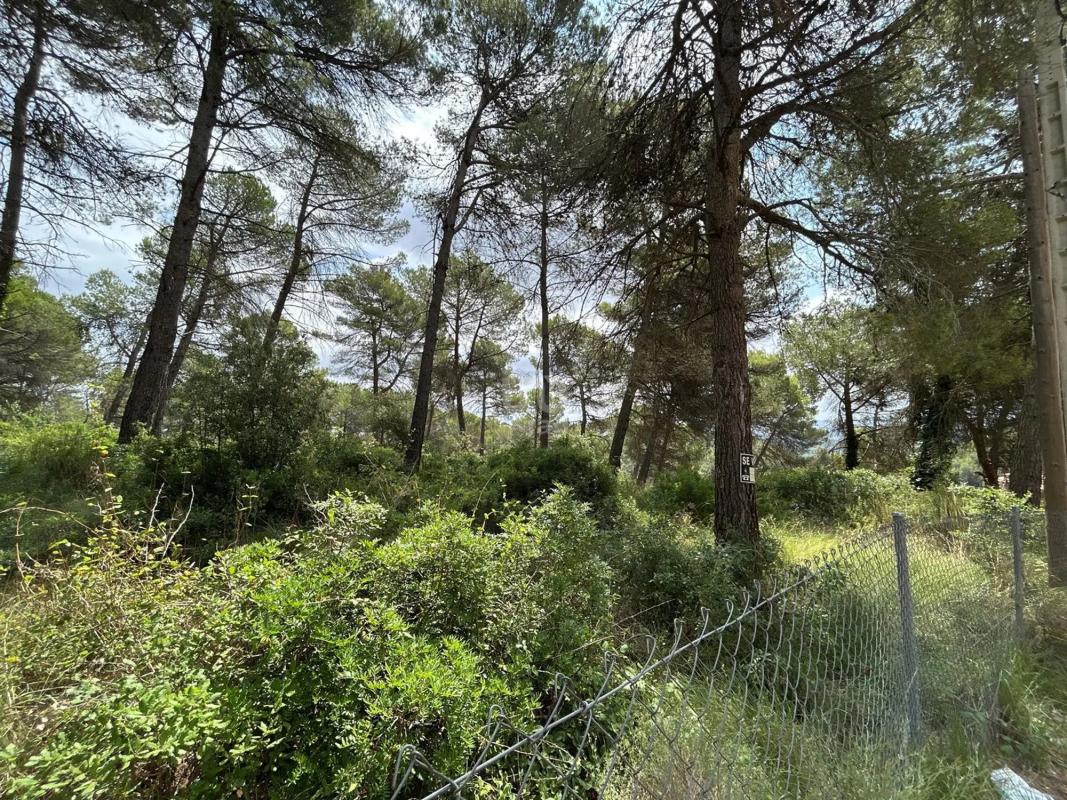 Land for sale in Mediona, Barcelona photo 5