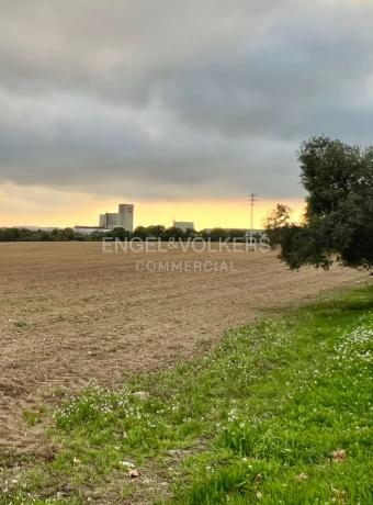 Terreno en avenida de Cal Salines photo 1