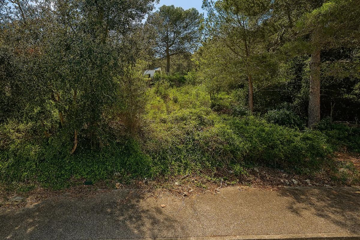 Terreno en venta en Torrelles de Foix, Barcelona photo 2