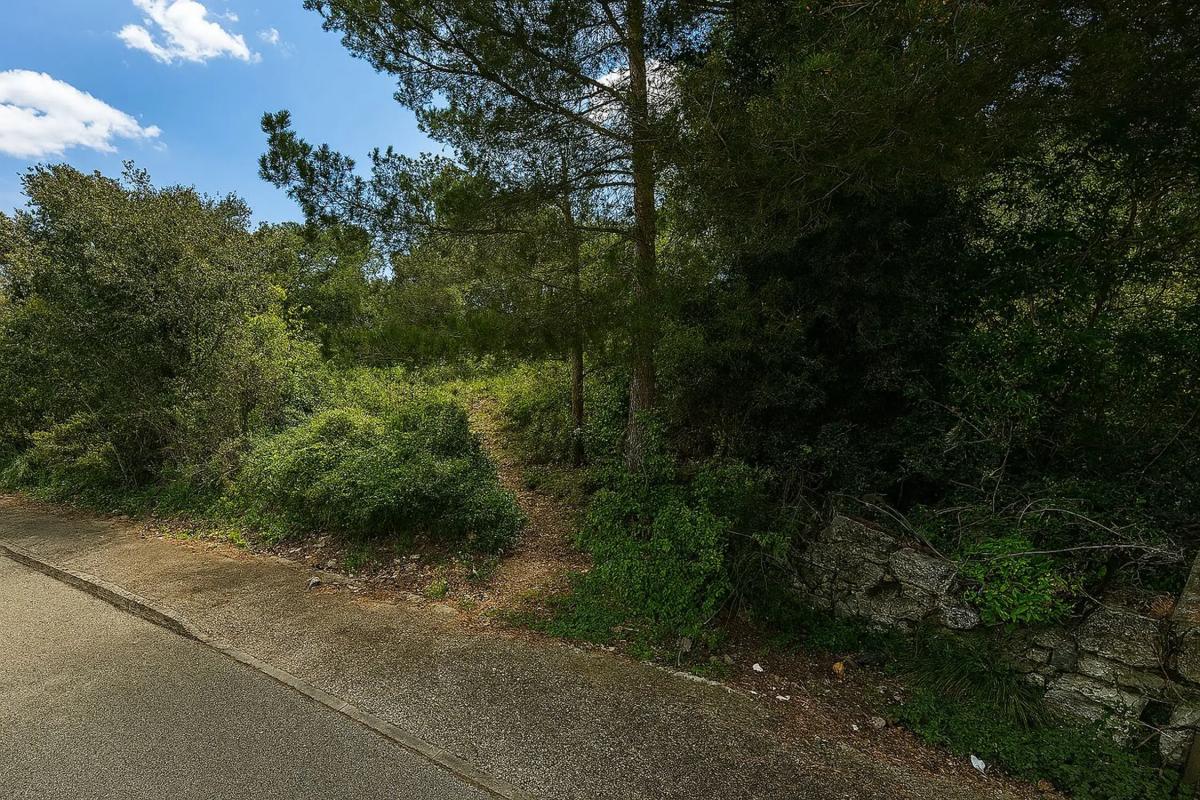 Terreno en venta en Torrelles de Foix, Barcelona photo 3