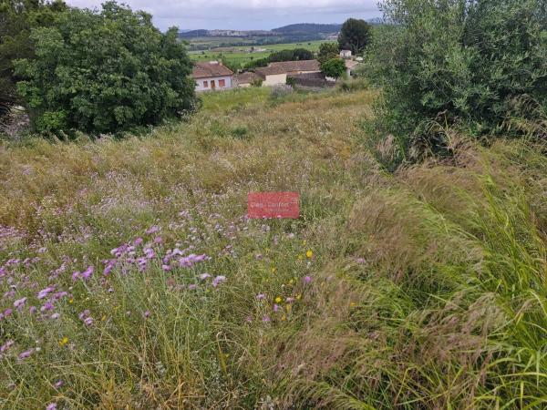 Terreno en Vilobí del Penedès photo 1