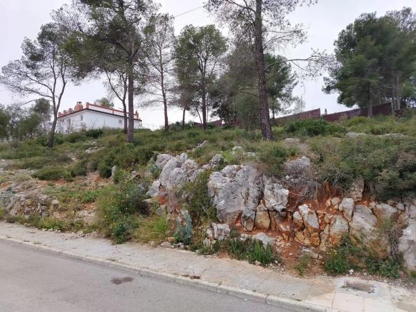 Terreno en calle de la rosa photo 2