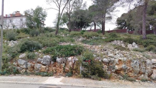Terreno en calle de la rosa photo 3