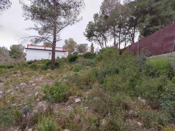 Terreno en calle de la rosa photo 4