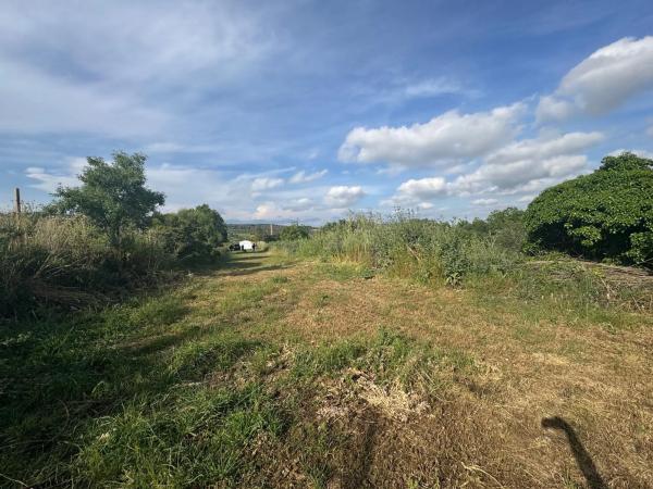Terreno en Sant Pere de Riudebitlles photo 1